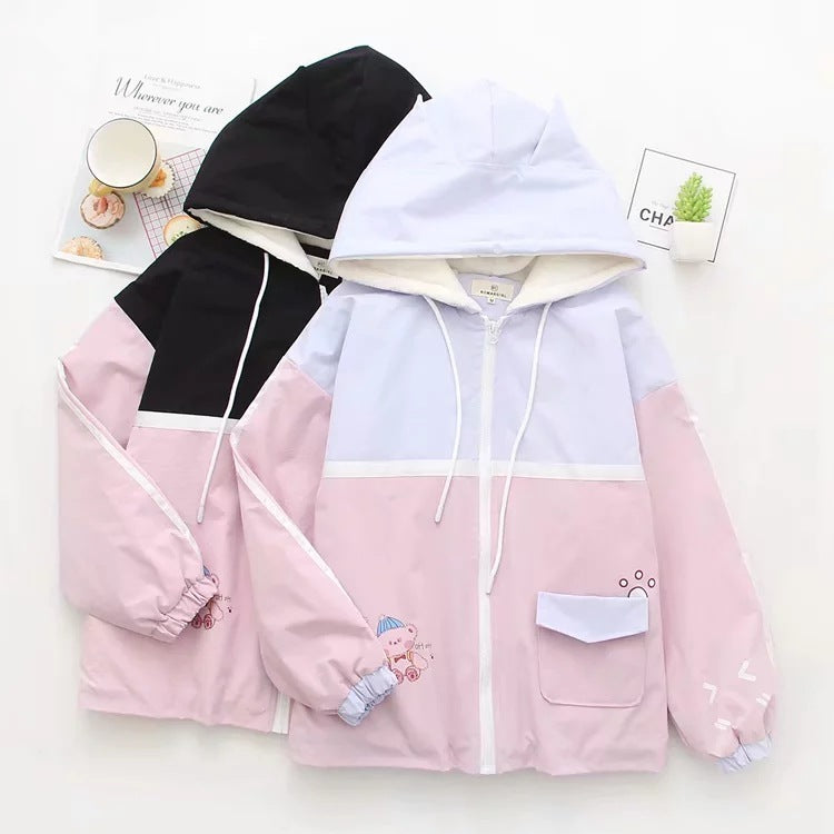 Bear colorblock hooded cotton coat