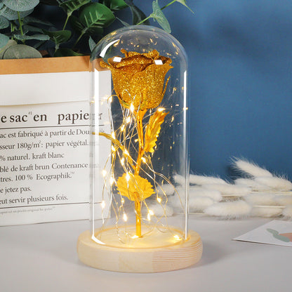 Eternal Rose Flowers LED Light In Glass Cover Best Gifts - The Number 1 Things