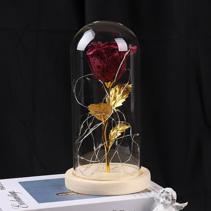 Eternal Rose Flowers LED Light In Glass Cover Best Gifts - The Number 1 Things