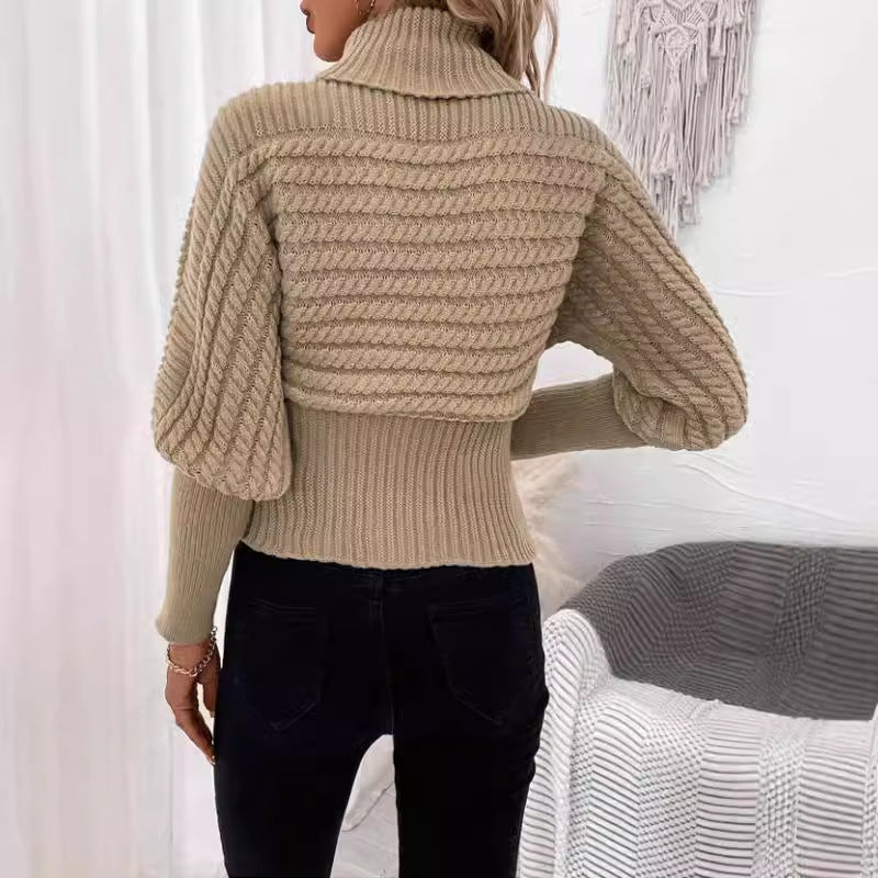 Women's Sweater Pullover High Neck Long Sleeves Knitwear